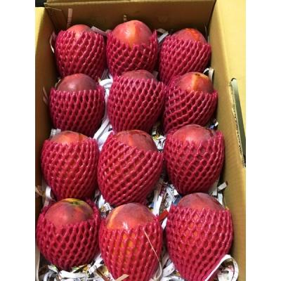 ishowlife_product